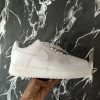 Plain white